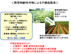 除草剤耐性作物による不耕起栽培