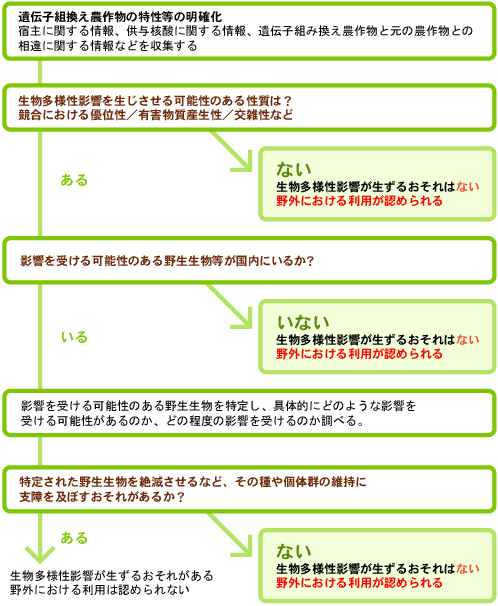 生物多様性影響評価の手順