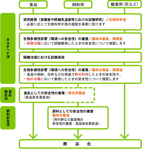 日本における遺伝子組み換え作物の安全性審査の概要