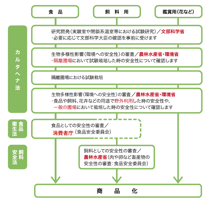 日本における遺伝子組み換え作物の安全性審査の概要